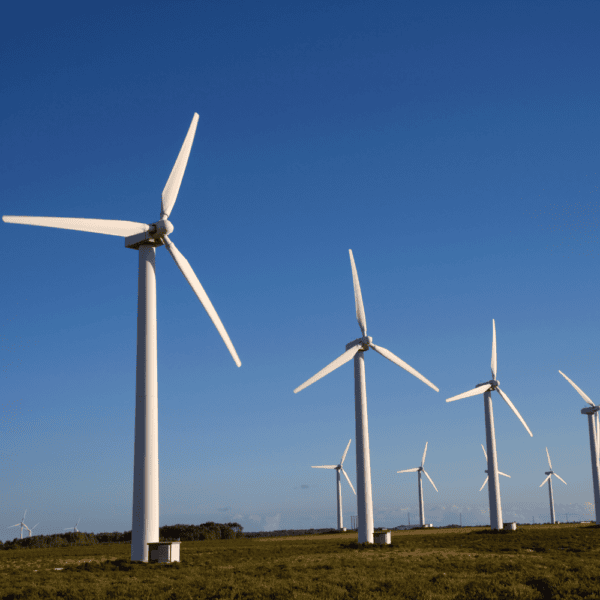 Should I use eco-mode? The pros and cons of this special operating mode